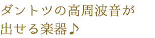 ダントツの高周波音が出せる楽器♪